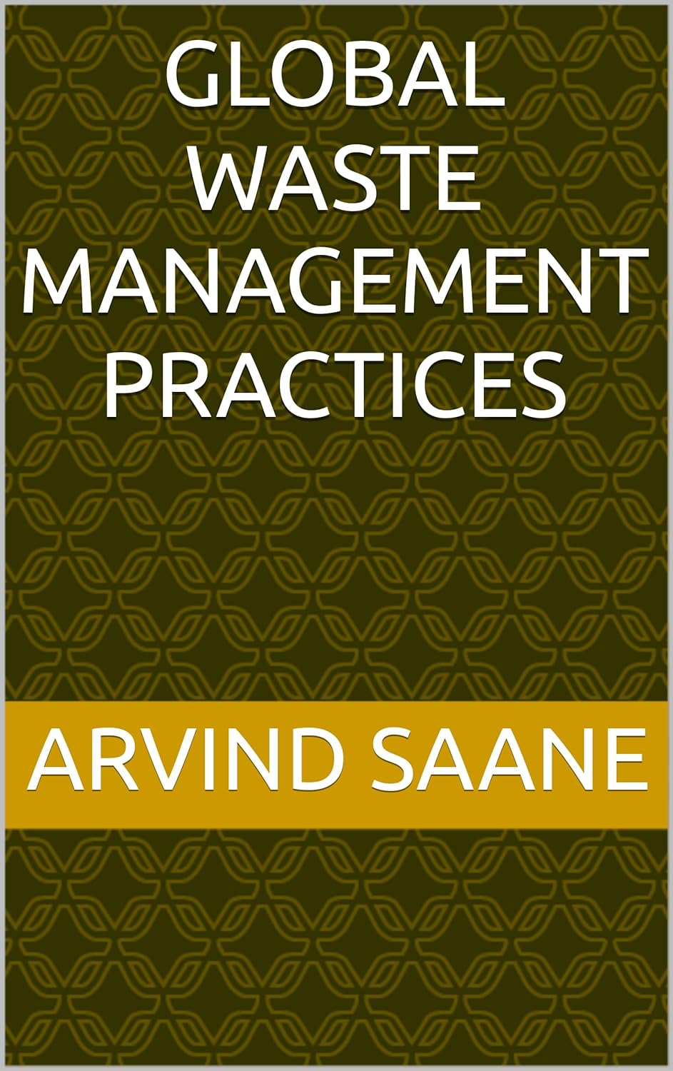 Global Waste Management Practices - Practical Solutions, Processes, and Challenges
